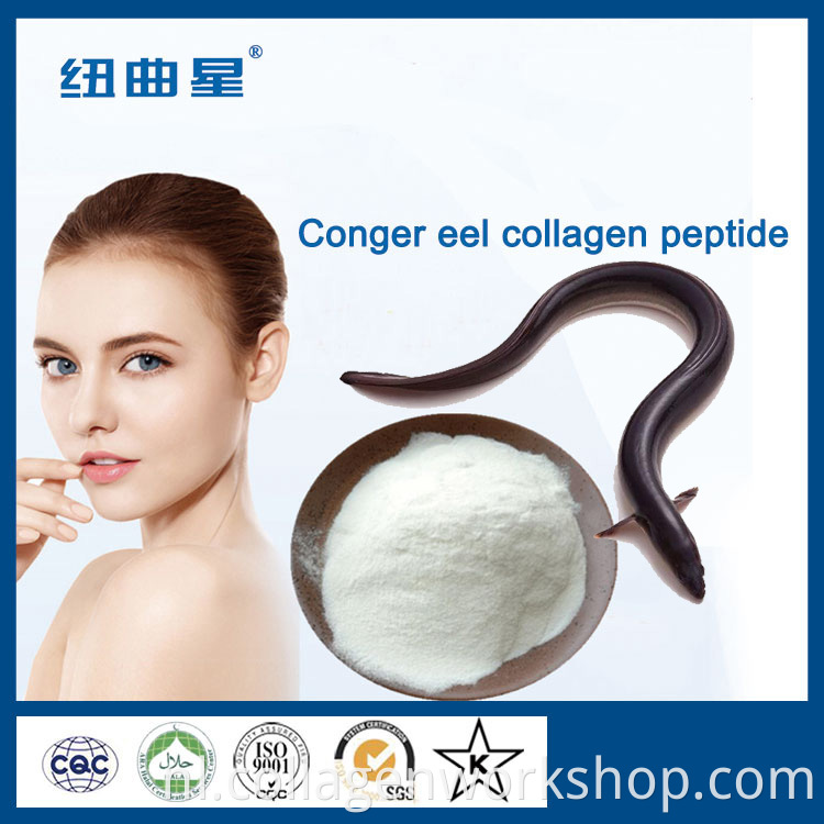 Eel Fish Collagen Powder